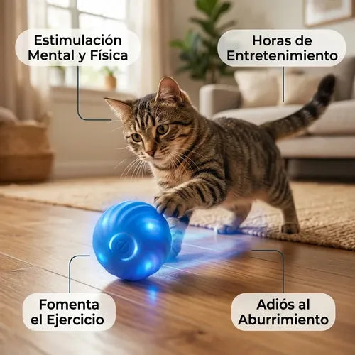 Pelota Interactiva Recargable Perros Gatos Luces Movimiento Azul