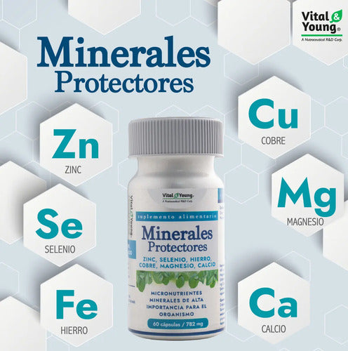 Minerales Protectores Zinc Selenio Hierro Cobre Magnesio Calcio. Frasco X 60 Cápsulas. V&y. Sin Sabor
