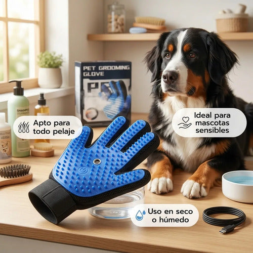 Guante Perro Gato Limpieza Automática Vapor Eliminador Pelo Azul