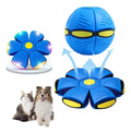 Pelota Magica Luz Led Cambia Forma Ovni Juguete Mascotas Azul Y Amarillo